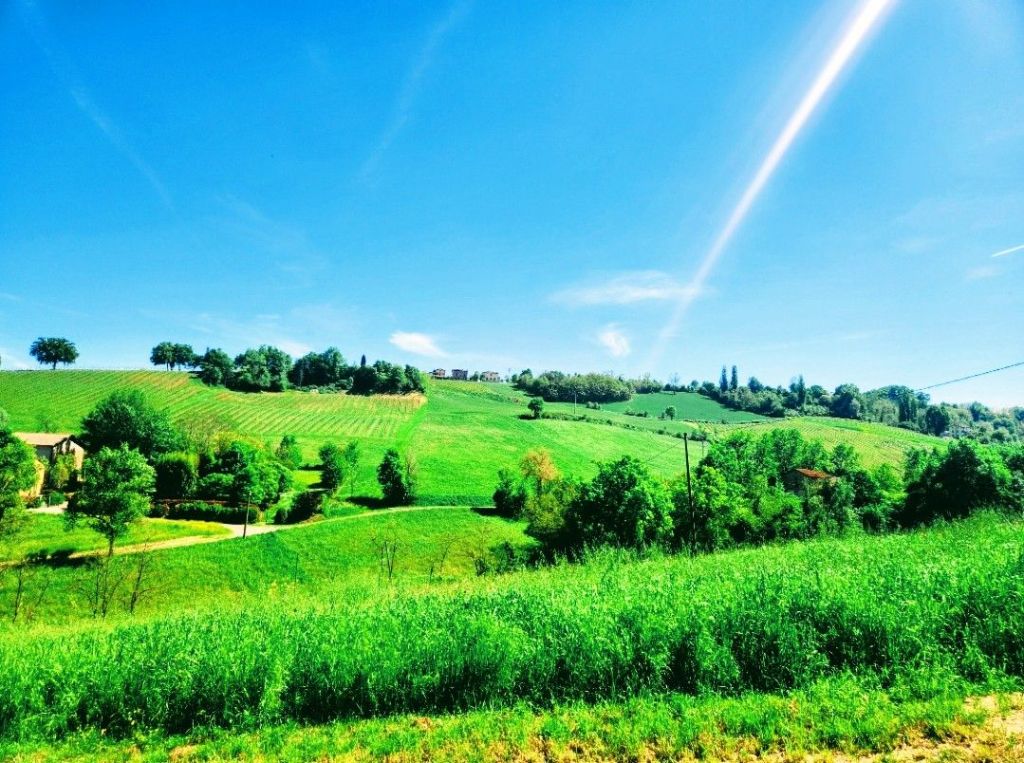 The Power of Nature – The science behind its&nbsp;benefits