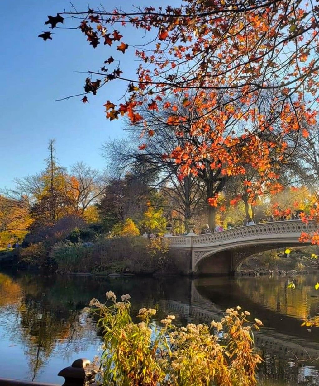 Personal from my newsletter to Subscribers only: Making memories, building&nbsp;traditions.